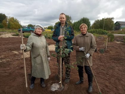 Активисты ТОС "Кего" посадили яблони на территории будущего сада