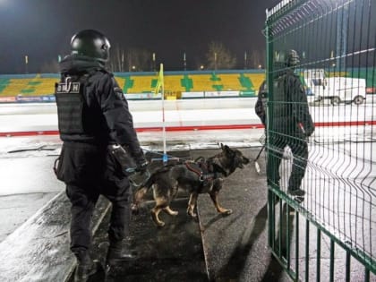 Безопасность на хоккейном матче: как стражи порядка обеспечили порядок в Архангельске
