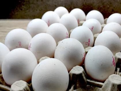В правительстве потребовали увеличить производство яиц после их резкого подорожания