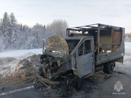 За прошедшую неделю на территории Архангельской области произошло 25 пожаров
