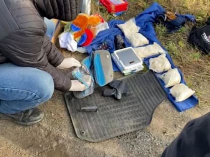 Архангелогородец пытался привезти три килограмма мефедрона