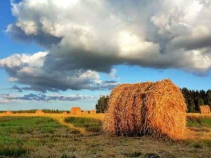 Гидрометцентр прогнозирует теплый август на территории России