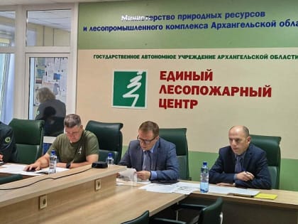 Причина большинства лесных пожаров в Поморье – неосторожное обращение с огнем населения
