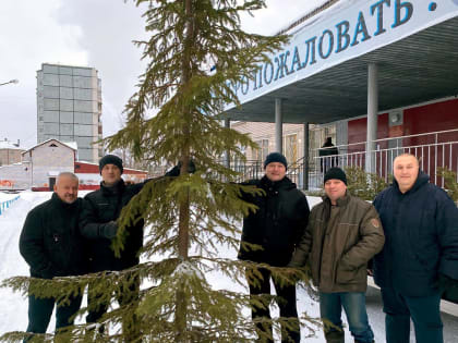 Установили новогоднюю елку