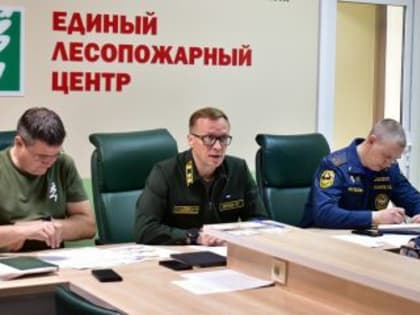 Оперштаб по тушению лесных пожаров: профилактическая работа с населением будет усилена