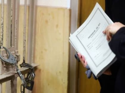 МВД России оценило ущерб от совершенных в стране преступлений