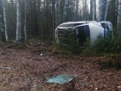 В Архангельской области автомобиль улетел в кювет. Погиб пассажир