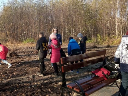 Сиреневая аллея в Маймаксе