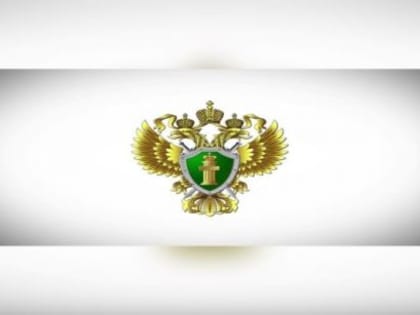 В истекшем периоде текущего года органами прокуратуры выявлено свыше 500 нарушений закона в сфере реализации национальных проектов