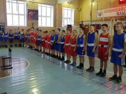 В городе мирный прошел турнир по боксу памяти В.Г. Коптева