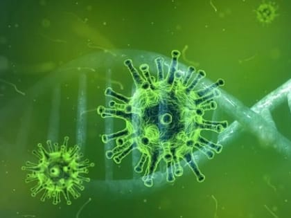 Данные по COVID-19 в Поморье на 7 февраля 2022 года