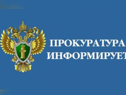 Котласский межрайонный прокурор через суд добился возмещения ущерба, причиненного лесному фонду на сумму более 5 млн рублей