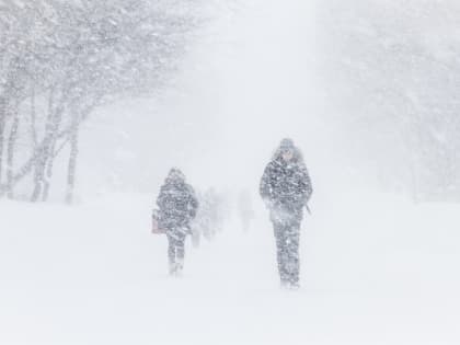 Ночью 15 января - усиление ветра, метель