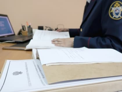 Супруги из Онежского района предстанут перед судом по обвинению в  истязании малолетних мальчиков и других преступлениях