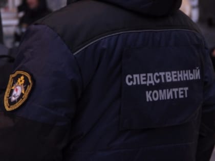 В Архангельске установлен подозреваемый в умышленном причинении тяжкого вреда здоровью, повлекшем по неосторожности смерть потерпевшей