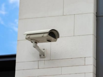 «Экоинтегратор» объявил фотоохоту на «черных» мусорщиков