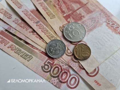 В Архангельской области с 1 октября повысят размеры окладов/ставок зарплаты работникам государственных учреждений