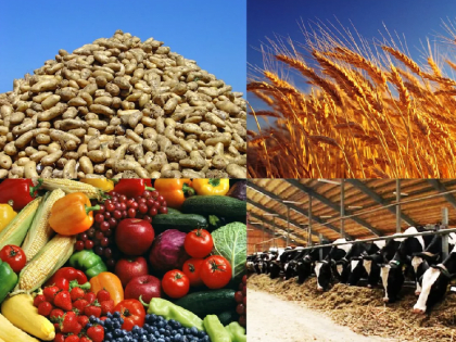 Гранты и субсидии на сельское хозяйство программы, условия, требования в 2023 году