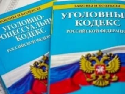 В Госдуму внесли инициативу об амнистии по экономическим статьям