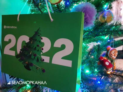 Современные гаджеты — вот что найдут многие северяне под ёлкой в новогоднюю ночь