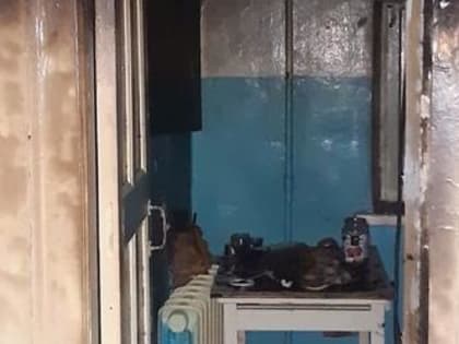 Стали известны подробности пожара в многоквартирном доме на улице Дыбцына в Коряжме