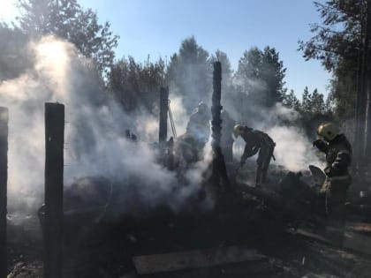 Возможной причиной пожара и гибели двух человек в дачном доме под Северодвинском стало замыкание электропроводки