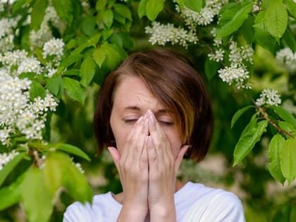 Аллергия: как жить с этим заболеванием?