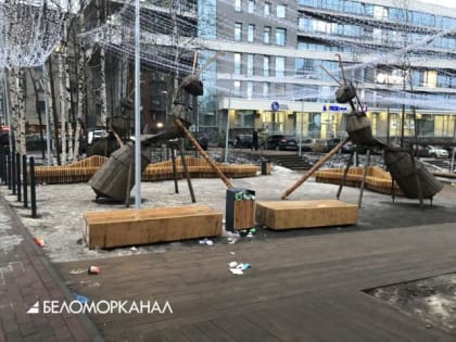 Архангельские муравьи и карма в действии