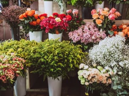 В западных букетах, реализуемых в Архангельске, обнаружили заразу: цветы уничтожили