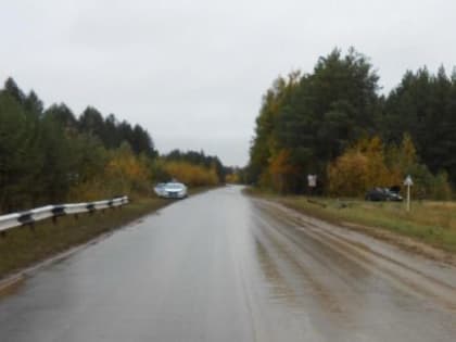 Автоледи была подшофе