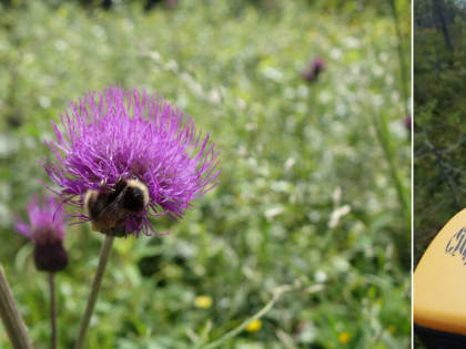  Завершилась комплексная научная экспедиция по изучению лесных экосистем в Онежском районе Архангельской области