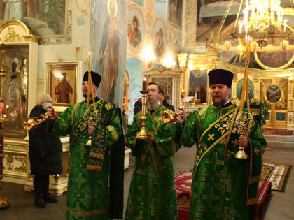 Митрополит Корнилий в Вербное воскресенье совершил Литургию в Архангельске