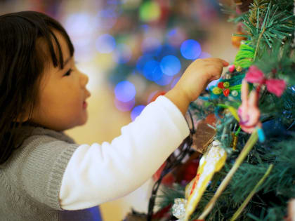 Необычайная экспедиция по новогодним традициям