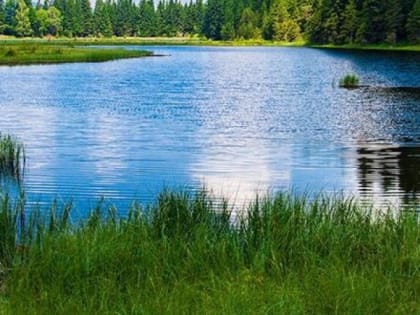 В Поморье утонул подросток, пытавшийся переплыть озеро на спор. Возбуждена «уголовка»