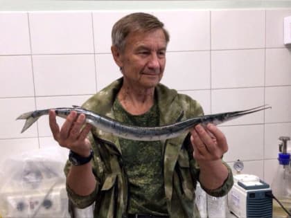 Тропическую рыбу западного побережья Африки выловили... в нацпарке "Онежское Поморье"