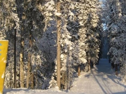 Лыжные базы в Архангельске и Северодвинске работают в первый день нового года