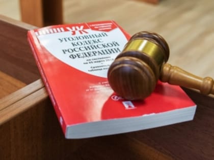 Ранее судимый житель Плесецкого района признан виновным в истязании брата и угрозах убийством