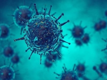 Данные по COVID-19 в Поморье на 16 января 2022 года