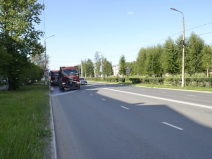 Любимому городу – чистые улицы