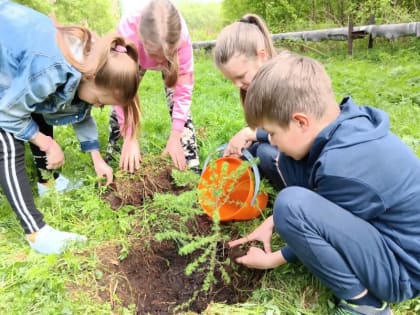 Дмитрий Морев поддержал идею возвращения трудового воспитания в школы