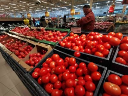 После снижения цен на огурцы в России дорожают помидоры