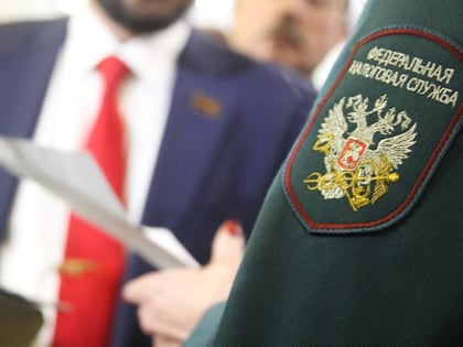 После 17 июля начнутся бездекларационные налоговые проверки