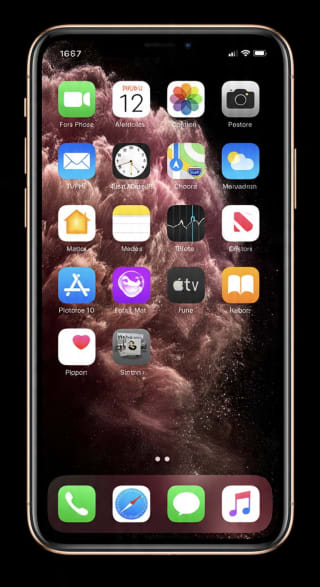 iPhone 11 Pro Max 256Go