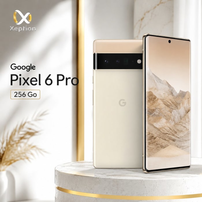 Google Pixel 6 Pro 256 Go