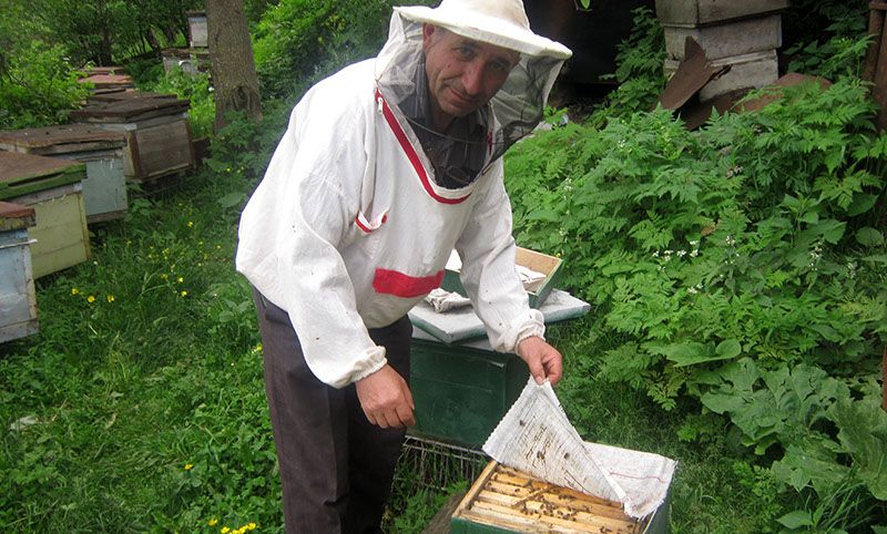 Beehive Therapy – Ancient Healing with Armenian Bees photo 4