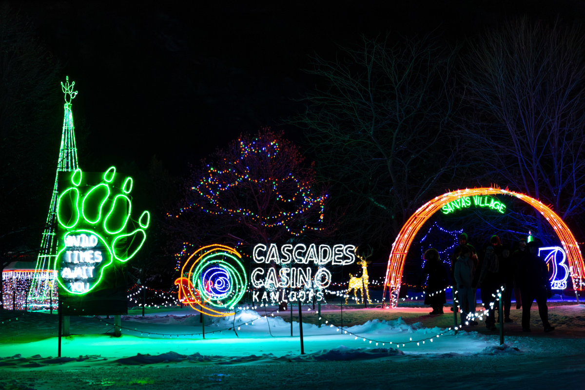 kate&carter-wildlights-01