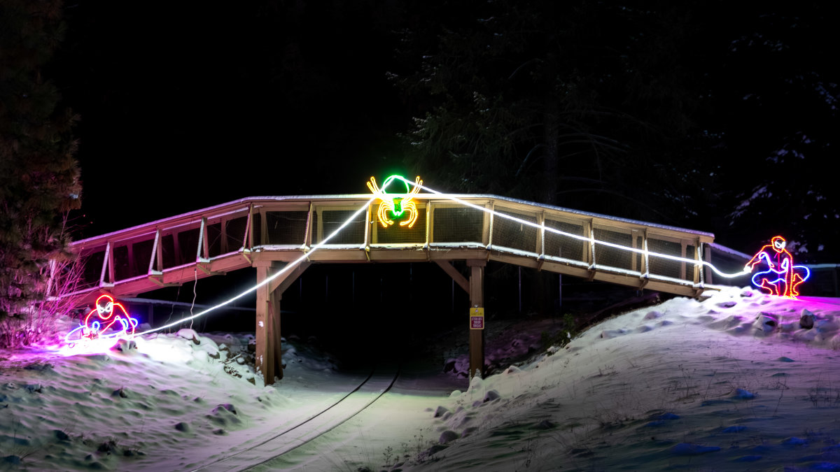 kate&carter-wildlights-15