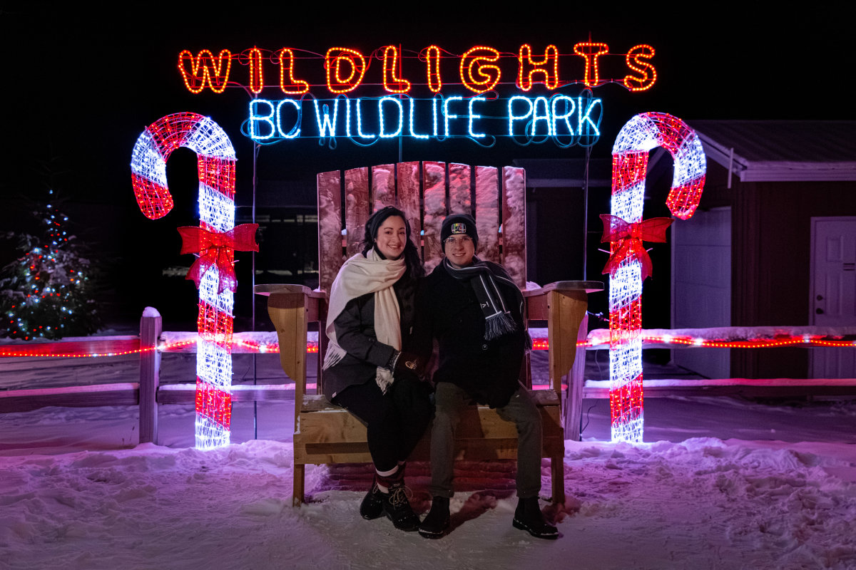 kate&carter-wildlights-10