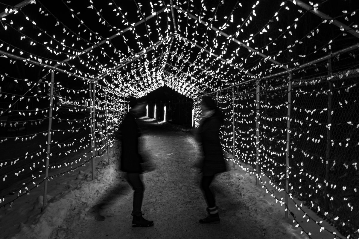 kate&carter-wildlights-19