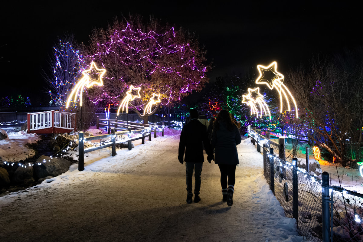 kate&carter-wildlights-02